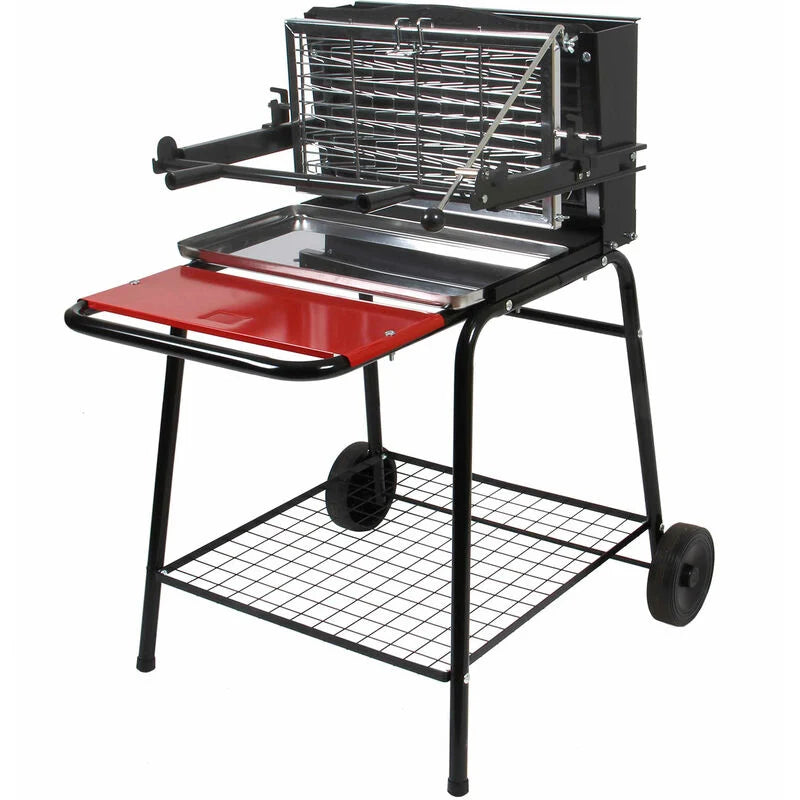 SOMAGIC - Barbecue au charbon de bois à foyer vertical RAYMOND 